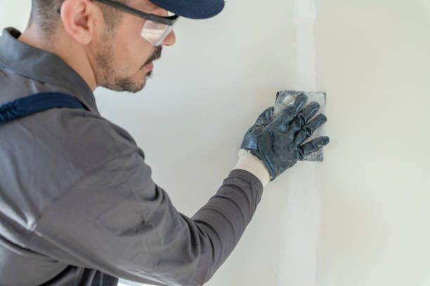 Best Water-Damaged Drywall Repair  in Bayou Vista, LA